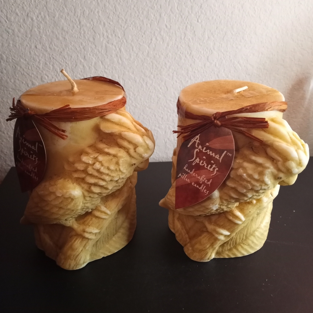 Pair Of Lava Animal Spirit Carved Birds 6" Tall Pillar Candles
